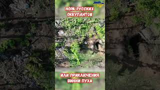 Нора русских оккупантов Новые приключения Винни Пухов #прикол #украина #война #приколы #россия