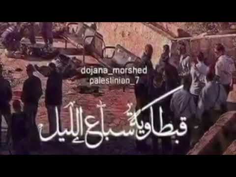 جديد اغنية الشهيدين ارشد ابو زيد واحمد زكارنه