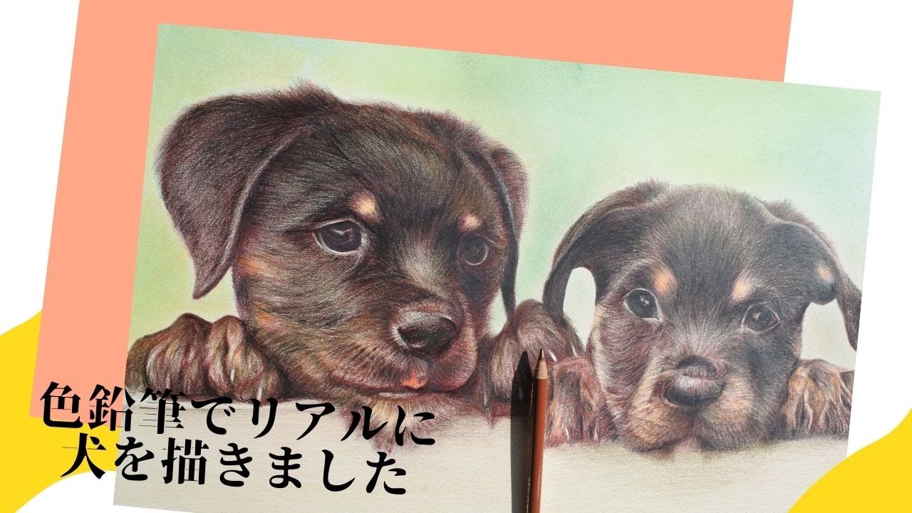 46 割引ホワイト系 限定価格セール 自筆の水彩色鉛筆画です 我が家の柴犬を描きました題して その寝方しんどくない アート 写真 ハンドメイドホワイト系 Tiamer Com