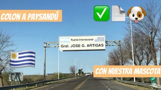 QUE NECESITAS PARA ENTRAR A #uruguay CON MASCOTA🐶 #vanlife #paysandu #viajeros #motorhome #nomades by briag sobreruedas 352 views 8 months ago 15 minutes