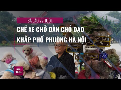 Video: Kid phản ứng như thế nào bạn mong đợi khi anh ấy đến nhà và tìm thấy Pit Bull bị mất của anh ấy