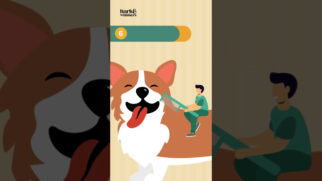 6 Safe and Non Toxic Ways to Control Fleas and Ticks 