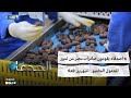 ٦ اصدقاء يقودون صادرات مصر من تمور المجدول الجامبو مبهرين فعلا 