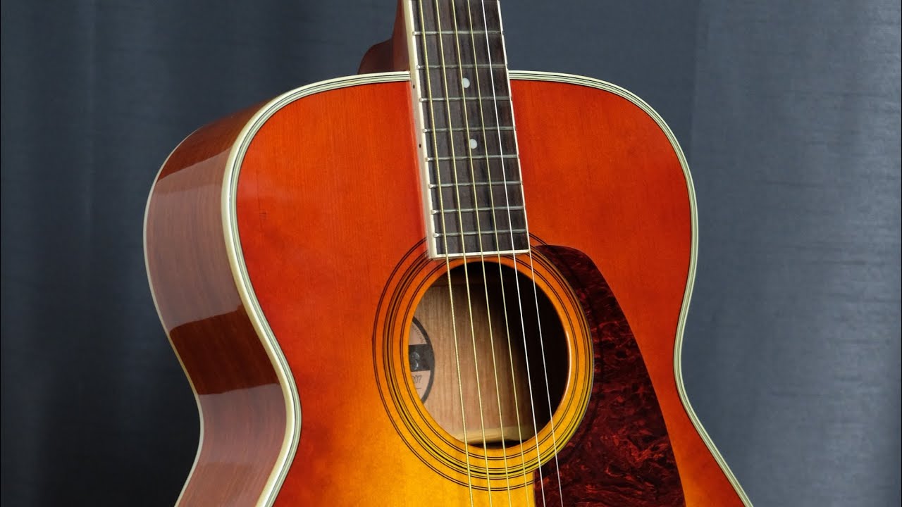 MorrisのアコースティックギターMF-207 Morris MF-207 アコースティックギター モーリス -GRUN SOUND-w535