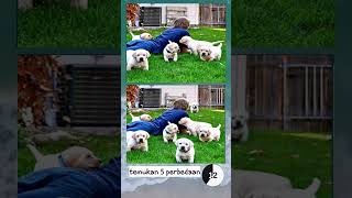 difference find king 04 #bestgame #androidgameplay #shorts #puzzle screenshot 3
