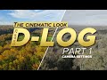 Camera Settings for Beginners - Air 2S D-log Color Grading (Part 1)