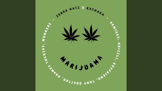 Video thumbnail of "Zebra Katz - Marijuana"