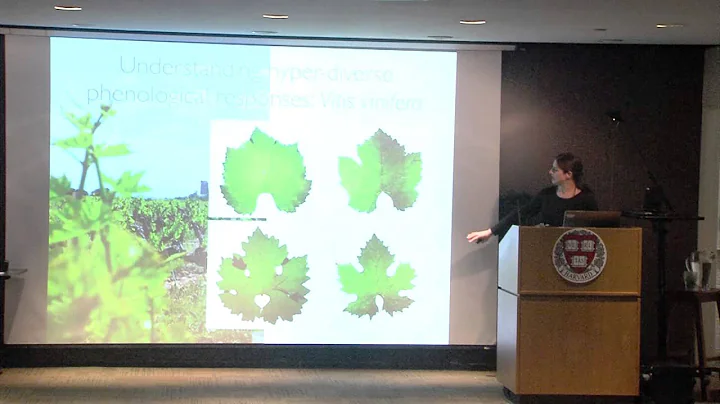 Harvard Food+ Research Symposium: Elizabeth Wolkov...