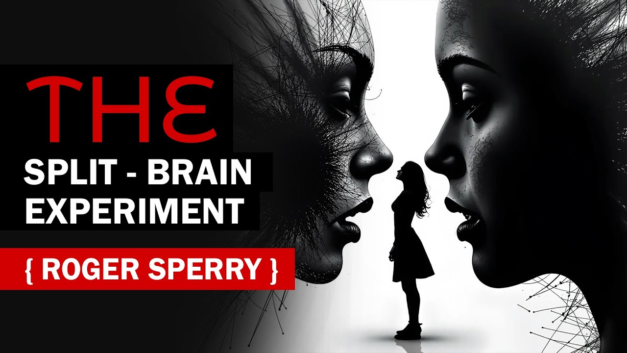 The Intriguing Truth About Human Consciousness (The Split Brain Experiment) Roger Sperry