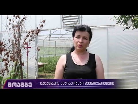 სასათბურე მეურნეობები დევნილებისთვის