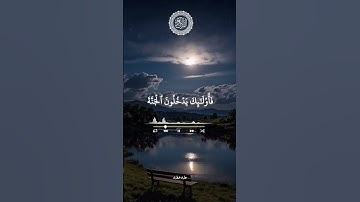 #تلاوات_مطرف_المطرف #القران_الكريم #تلاوة_خاشعة #السعودية #ترند_تيك_توك #اكسبلور_explore #لايك