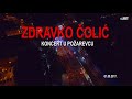 KONCERT ZDRAVKA COLICA U POZAREVCU - 01.09.2017
