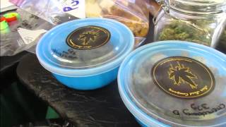 Mary Jane's Harvest Festival 2015