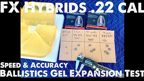 FX Hybrid .22 cal Ballistic Gel Expansion Test with FX Wildcat MK3