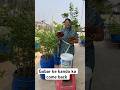 Gobar Ke Kando Se Bana Liquid Fertiliser Gardening Garden Farming Shortvideo Vairalshort
