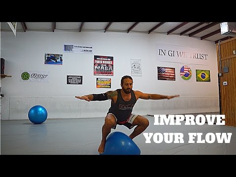 HOW TO DO A BJJ BALANCE BALL FLOW