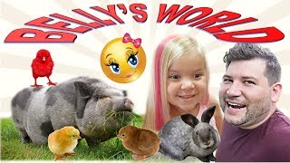SMELLY BELLYS NEW FARM (SUPER COOL VIDEO!) DADDY SILVA LOVES ANIMALS
Daddy Silva Visited the Smelly Bellys farm. What a beautiful place it is!! We played with the animals, fed Pork Chops, Bella and the Chicks and even bounced on the jumper. What a wonderful day!!
Thanks to Jesse, Terra and Rory for hanging out with Daddy Silva!!
SUBSCRIBE TO THE SMELLY BELLY ON THE LINK BELOW IF YOU HAVENT YET!!!
https://www.youtube.com/channel/UC_r3trI6eIaptK0zTdhAEqg
GUMMY VS. SUSHI
https://www.youtube.com/watch?v=U_cmb...
SCARIEST 3AM VIDEO
https://www.youtube.com/watch?v=iVUhI...
TREASURE HUNTER WITH THE SMELLYBELLYTV
https://www.youtube.com/watch?v=PbuD8...
OREO CHALENGE
https://www.youtube.com/watch?v=cONpj...
TERRA FROM SMELLY BELLY TV MADE AN AWESOME VLOG IN OUR HOUSE. PLEASE CLICK ON THE LINK BELLOW TO WATCH THEIR VIDEO.
https://www.youtube.com/watch?v=fJJxZ...
WATCH THE SMELLY BELLY TV AND THE SILVA FAMILY HUNTING FOR SHARKS/ALABASKIS
https://www.youtube.com/watch?v=oYIUR...
https://www.youtube.com/watch?v=cONpj...
https://www.youtube.com/edit?o=U&vide...
BABY RORY FROM SMELLY BELLY TV GOT HER HAIR DONE PINK
https://www.youtube.com/watch?v=UYauY...
v=UYauY9c8abghttps://www.youtube.com/watch?
v=UYauY9c8abghttps://www.youtube.com/watch?
v=UYauY9c8abghttps://www.youtube.com/watch?
v=UYauY9c8abghttps://www.youtube.com/watch?v=UYauY...
Instagram: thesilvafamilyuncut
Category
Entertainment
License
Music by www. Epidemicsound.com
Sound Effects by www.soundbible.com
-~-~~-~~~-~~-~-
Please watch: NINJA KIDS STOPS BURGLAR WITH MARTIAL ARTS , SWORDS AND NURF GUNS BURGLAR BRAKE IN
https://www.youtube.com/watch?v=WWxyzgavkg8
-~-~~-~~~-~~-~- SMELLY BELLYS NEW FARM (SUPER COOL VIDEO!) DADDY SILVA LOVES ANIMALS