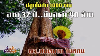 ปลูกไม้สัก 1000 ต้น "อายุ 32 ปี..มีมูลค่า 40 ล้าน" ดร.สมหมาย วันสอน//สามอาชีพฯ