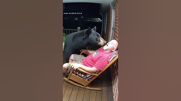 Bear Wakes Up Sleeping Man on Porch | Hilarious Reaction