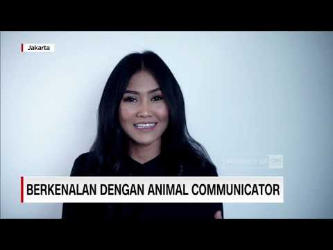 Video: Bagaimana cara kerja komunikator anjing?