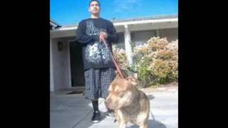 My Red Nose Pit Bull, Cookie 2