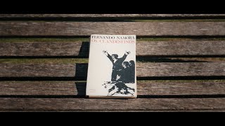 Vasco Ribeiro & Os Clandestinos - Falem