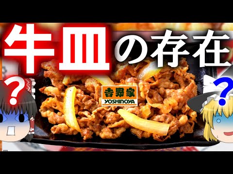 【ゆっくり解説】牛丼屋にある謎のメニュー”牛皿”について【4つの需要】