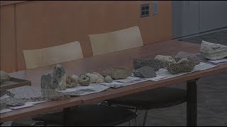 Eastern Iowa Rocks An Introduction to Rockhounding in Iowa