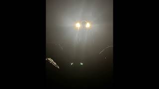 Famous Lonely Ideas - Skyze Net Worth