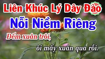 Karaoke Liên Khúc Lý Dây Đào - Vọng Kim Lang - Đoản Khúc Lam Giang - Phi Vân Điệp Khúc