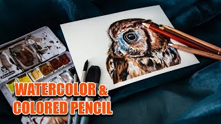 Watercolor & Colored Pencil art lesson For Beginners! - How to paint an owl by Lachri Fine Art 2,135 views 6 months ago 59 minutes