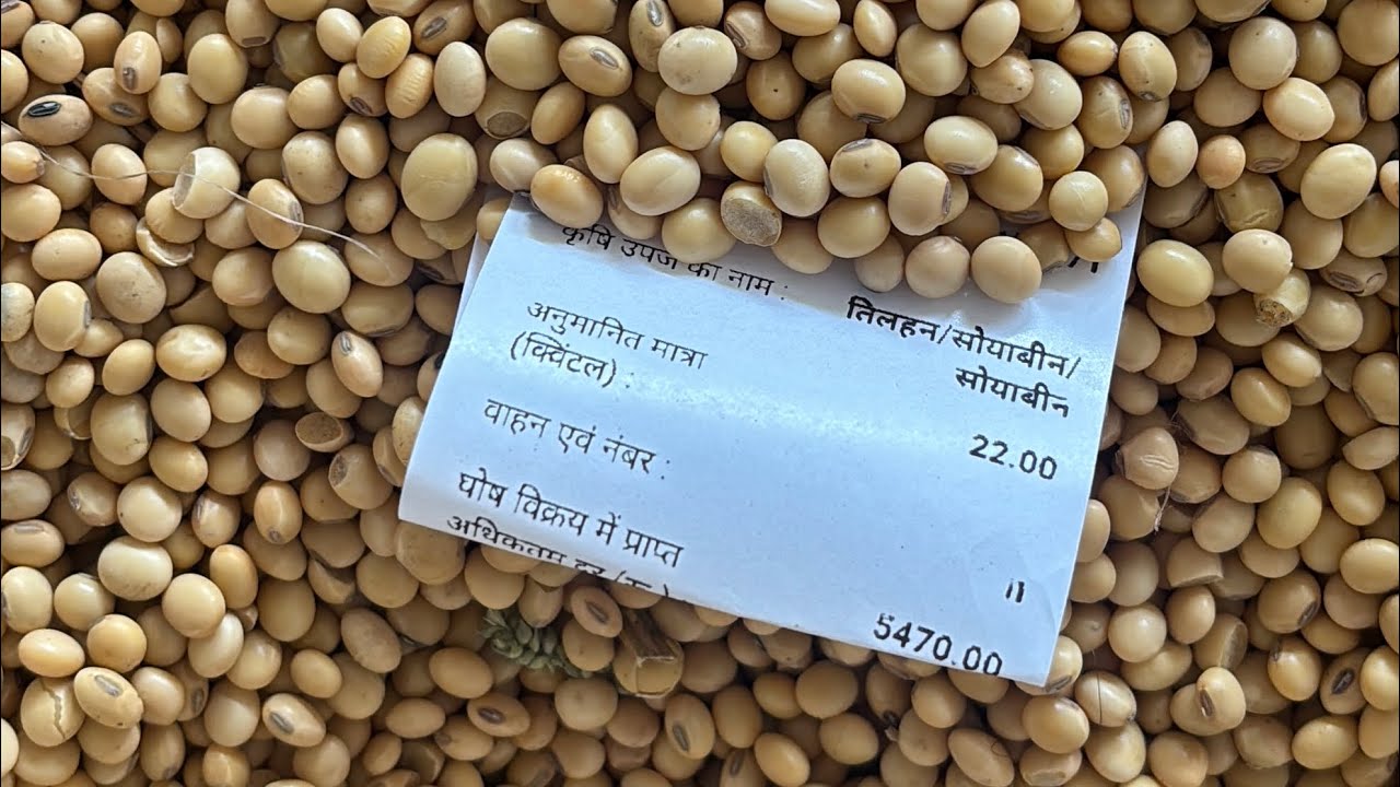 सोयाबीन के भाव 🔥🥳!! देवास मंडी सोयाबीन भाव 19 जनवरी 2026 !! लाइव कारोबार देखे आज का !! 