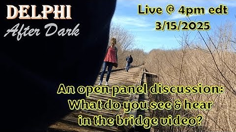 Live - An open panel discussion: What do you see and hear in the bridge video? #delphibridgevideo
