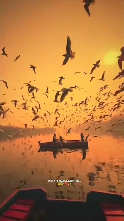 Best song nature whatsapp status💫|Nature WhatsApp status|Nature love whatsapp status #viral #shorts