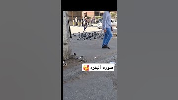 ماتيسر من سورة البقرة  #explore #اكسبلور #آية #لايك #تصويري #قرآن #قران_كريم #راحة_نفسية #دويتو