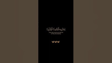 سورة يونس / القارئ عبد الرحمن مسعد / تلاوة خاشعة تريح سمعك