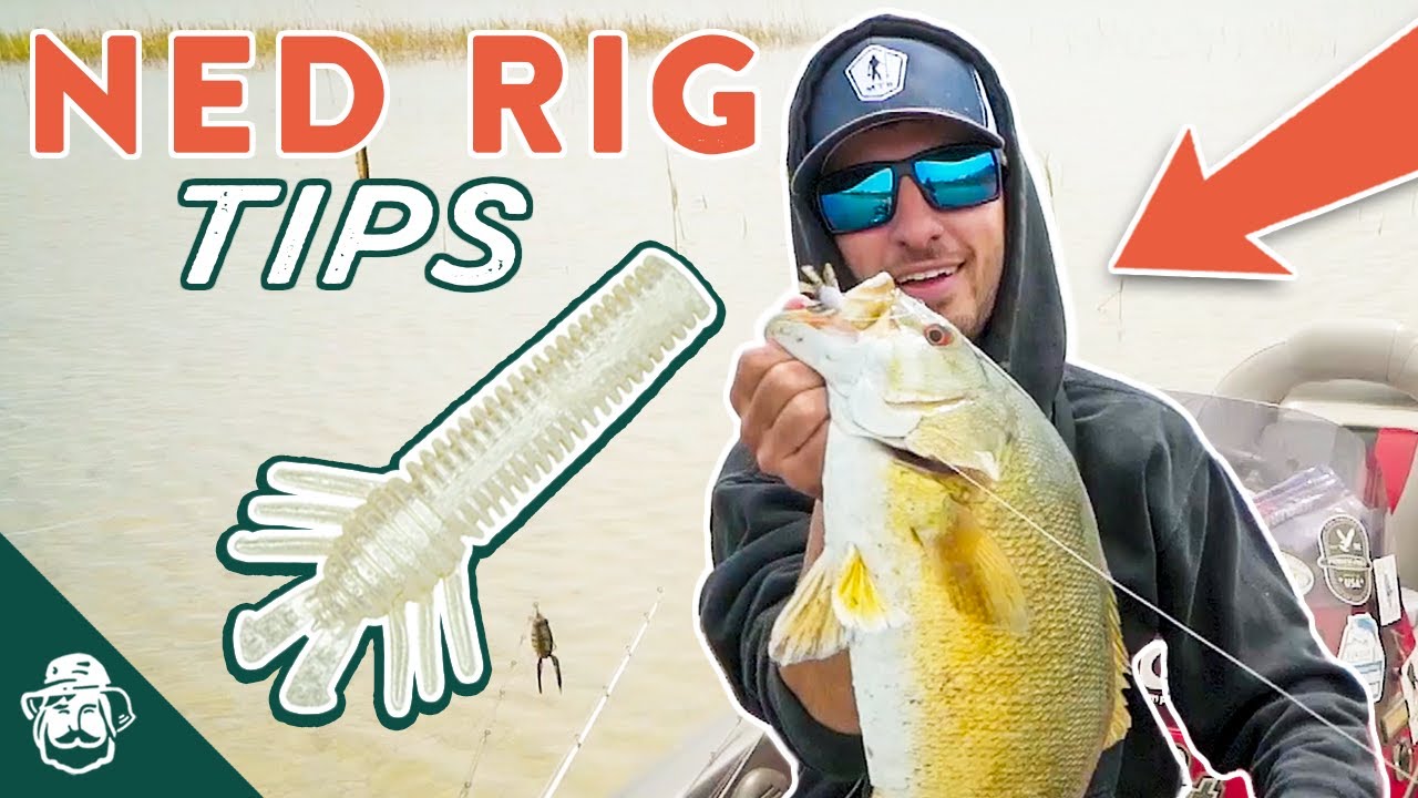 Master the Ned Rig To Catch More Bass In Tough Conditions!