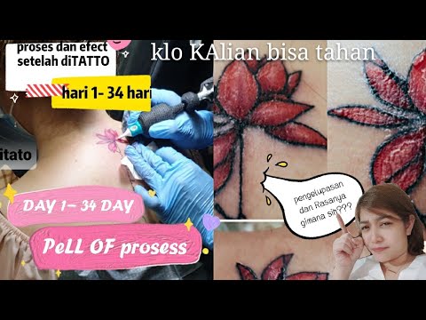Proses penyembuhan tato hari demi hari tattoo healing process day by day pell off tato pengelupasan