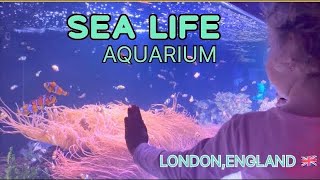 SEA LIFE  !London 🇬🇧! Things to do in London !travel vlogs England 🏴󠁧󠁢󠁥󠁮󠁧󠁿 #viralvideo #travel