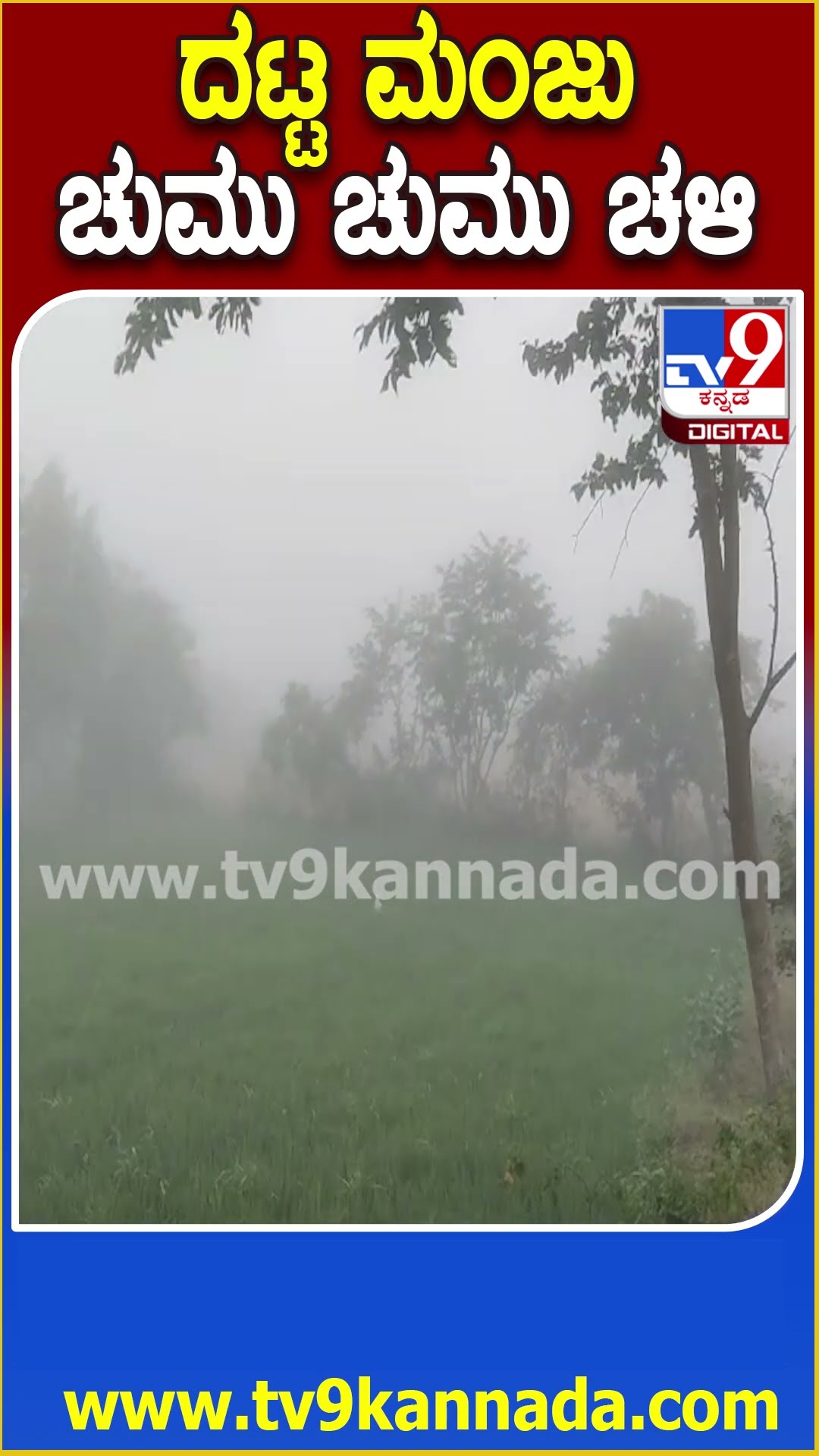 ದಟ್ಟ ಮಂಜು ಚುಮು ಚುಮು ಚಳಿ #Myst #Tv9D