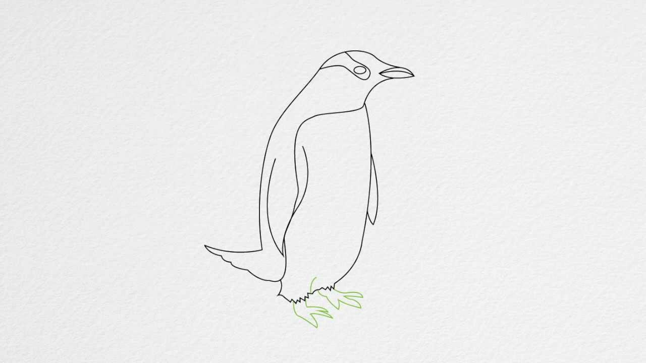 How to draw a PENGUIN step by step - YouTube