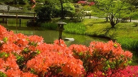 سورة  (ق) أفضل تلاوة تسمعها خشوع عجيب  Quran