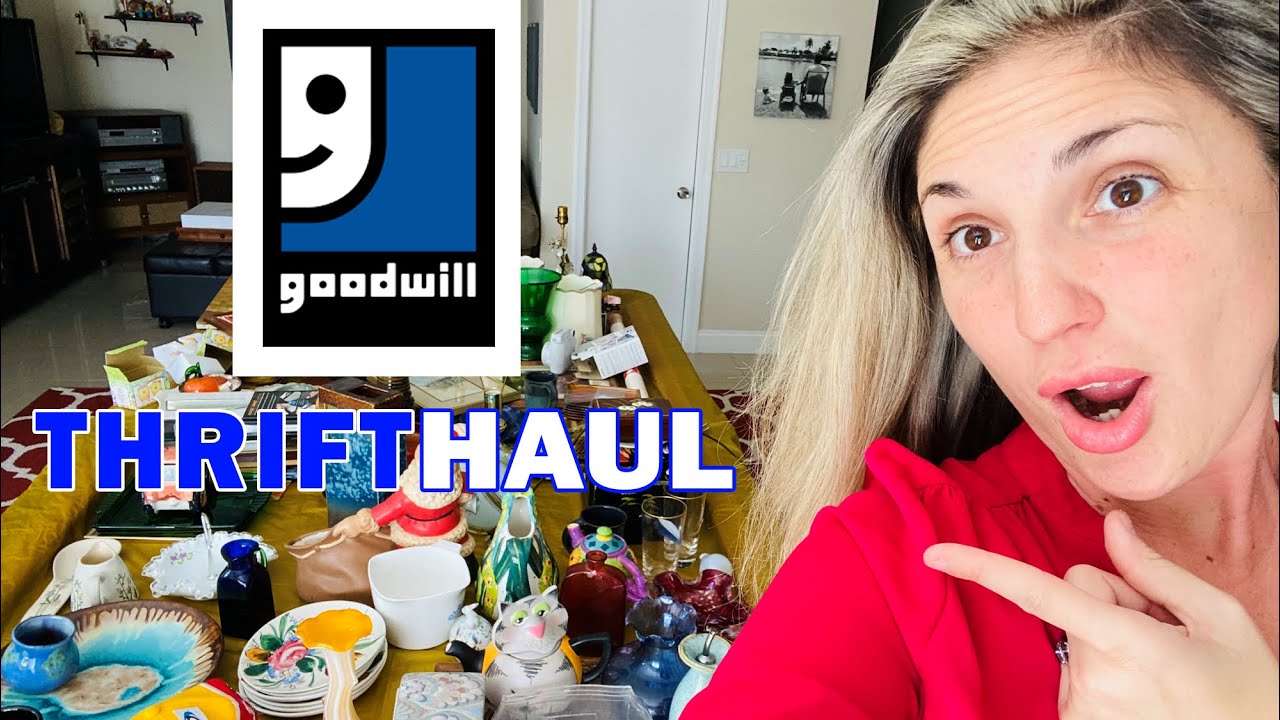 new-goodwill-thrift-haul-what-i-sell-on-ebay-my-secret-side-hustle