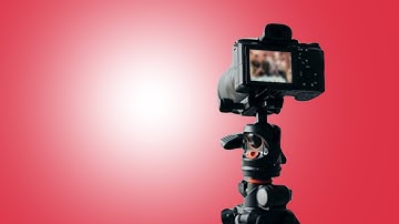 Sẽ rà soát, xử lý các kênh livestream có nội dung phản cảm, phạm pháp | VTV24