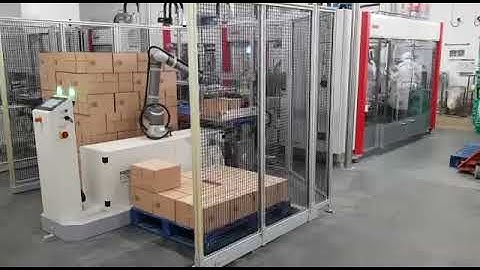 Reeco Automation | RB1200 Integrated With SOMIC Case Packer