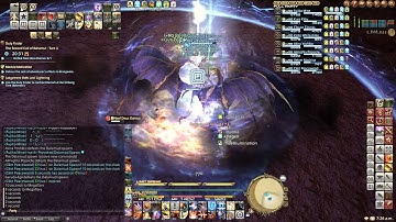 Turn 9 Solo Tank PLD PoV [Team Cinnamon vs Nael van Darnus]