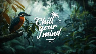 Chill Music Mix 2024  Deep House & Tropical House  Calm & Relaxing Background Music