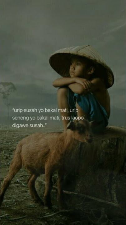 Story WA IG jawa Fullscreen terbaru‼ Kahanan Urip