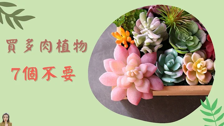 多肉植物|秋季买多肉植物，有7个不要让你少花冤枉钱，最后一条扎心了|花花世界 - 天天要闻
