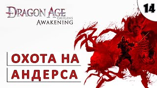 Dragon Age Origins (Пробуждение) Прохождение (#14) - Охота На Андерса